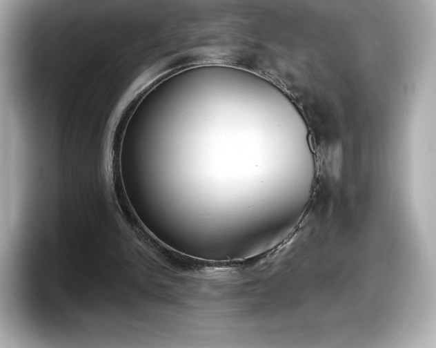 X0000098110150200804111102