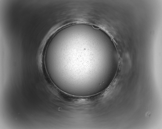 X0000098110151200804111102
