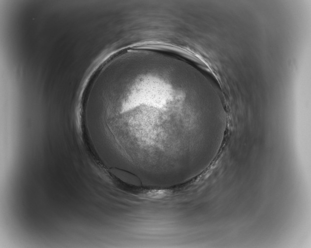 X0000098110152200804111102