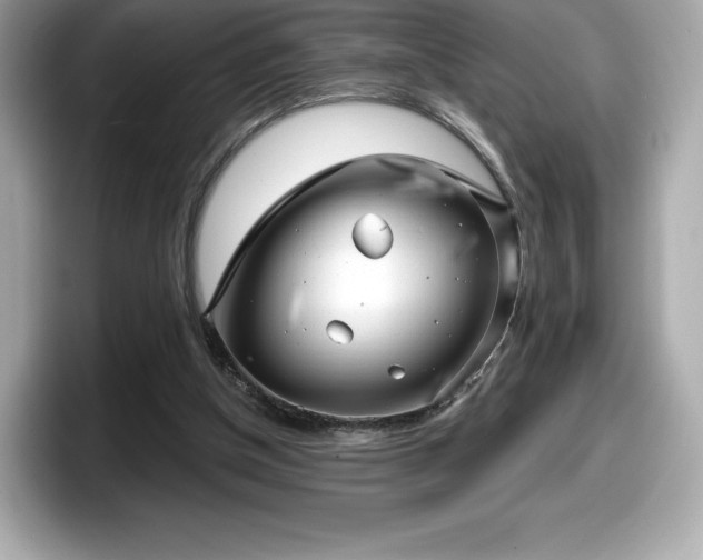 X0000098110154200804111102