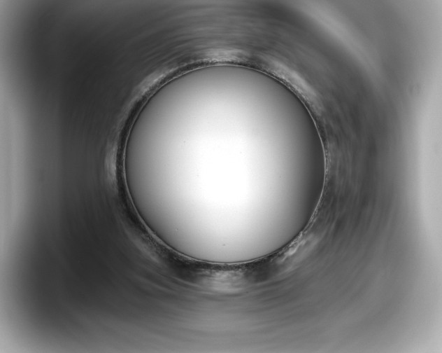 X0000098110155200804111102