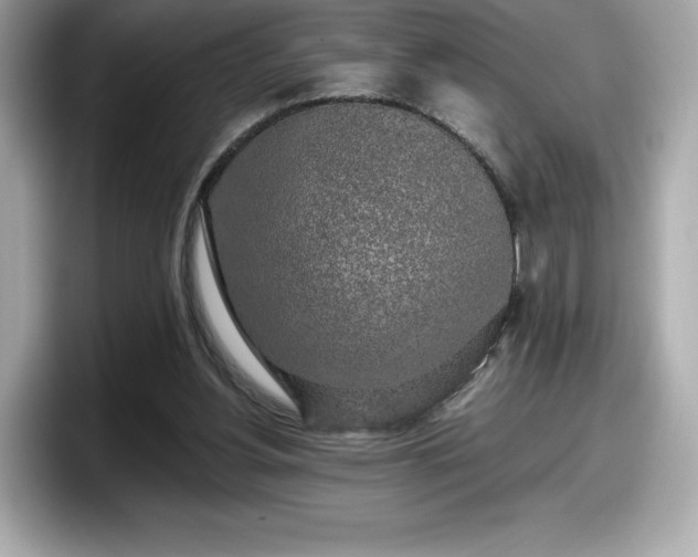 X0000098110156200804111102