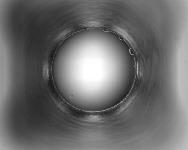 X0000098110157200804111102