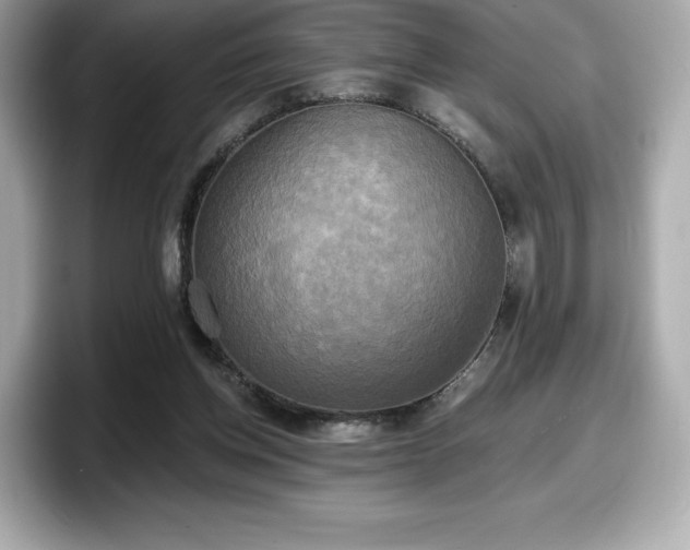 X0000098110158200804111102