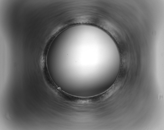 X0000098110160200804111102