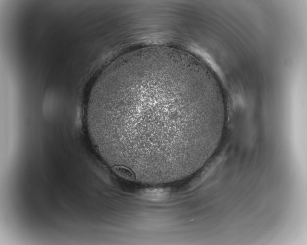 X0000098110161200804111102