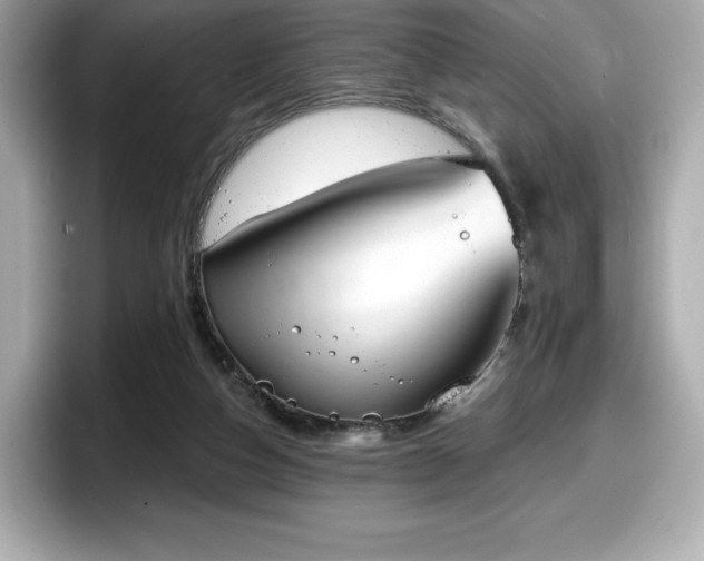 X0000098110162200804111102