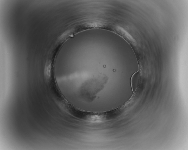X0000098110163200804111102