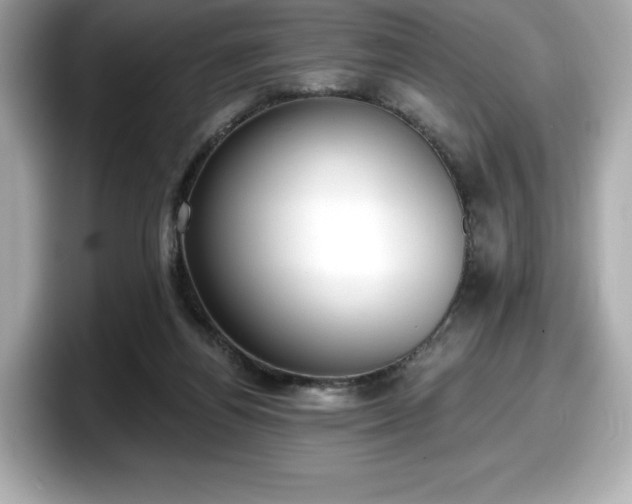 X0000098110164200804111102
