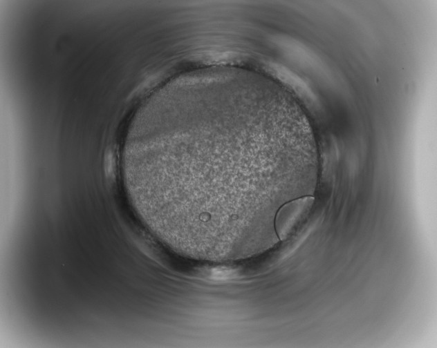 X0000098110165200804111102