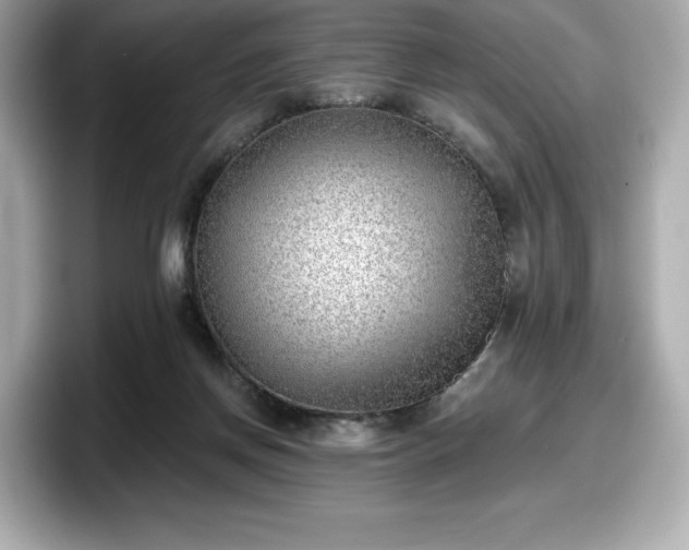 X0000098110166200804111102