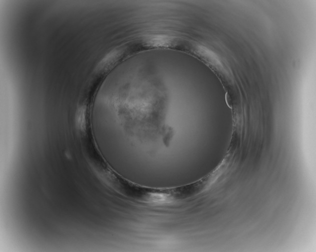 X0000098110167200804111102