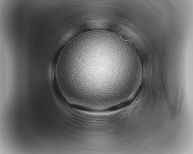 X0000098110168200804111102