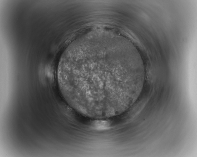 X0000098110169200804111102
