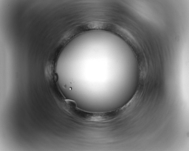 X0000098110171200804111102
