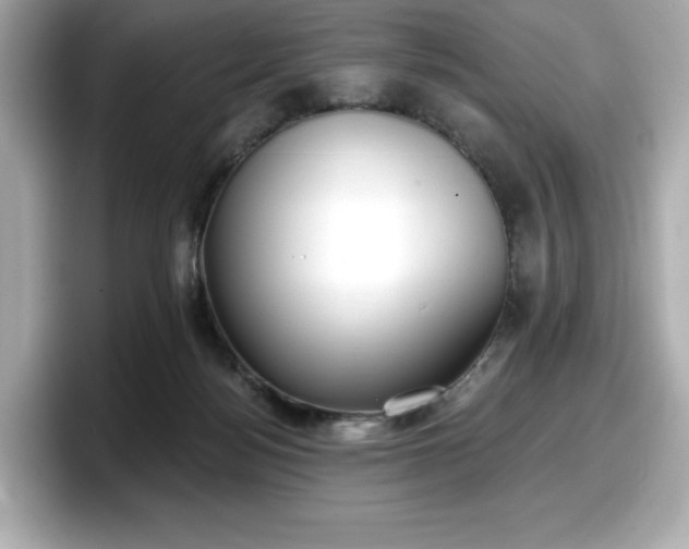 X0000098110172200804111102