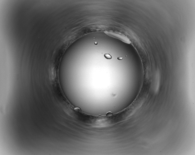 X0000098110173200804111102
