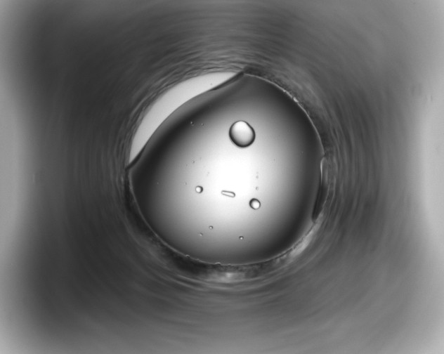 X0000098110174200804111102