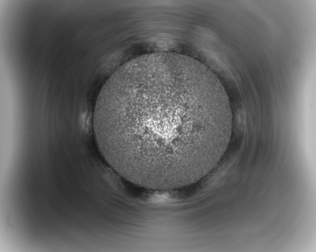 X0000098110177200804111102