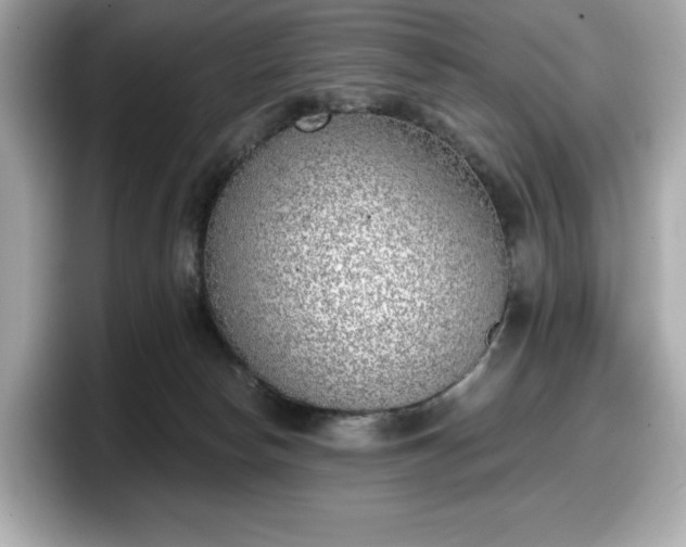 X0000098110178200804111102