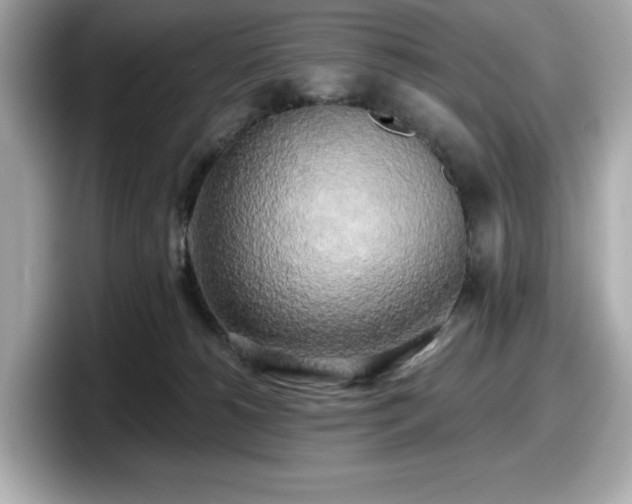 X0000098110180200804111102