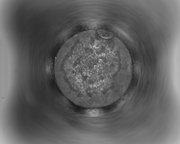 X0000098110181200804111102