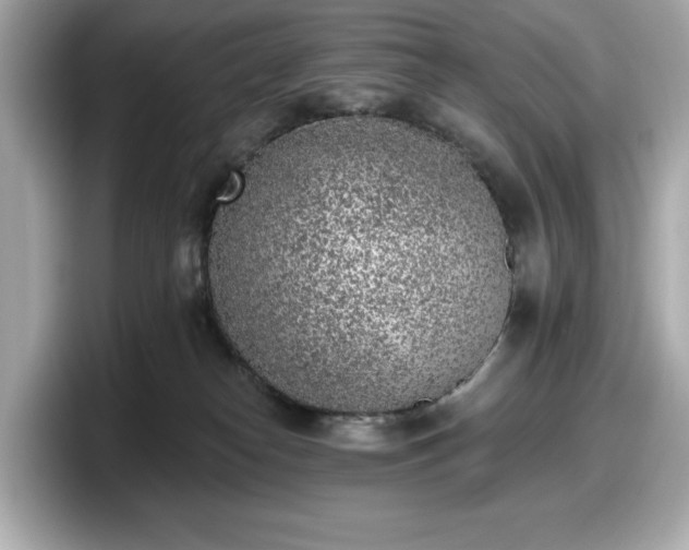 X0000098110182200804111102