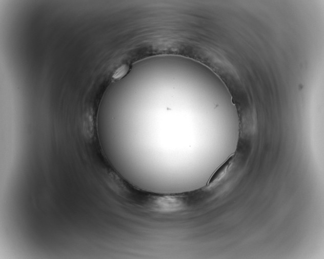 X0000098110183200804111102