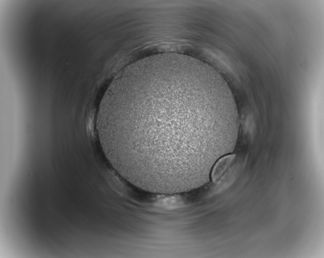 X0000098110185200804111102