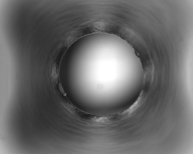 X0000098110186200804111102