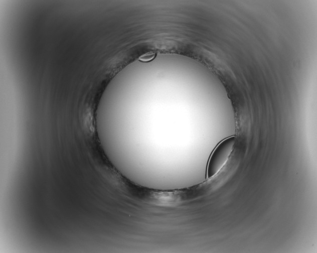 X0000098110187200804111102
