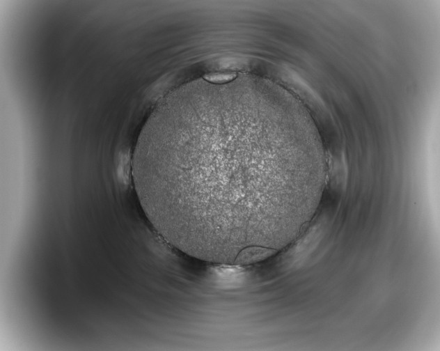 X0000098110189200804111102