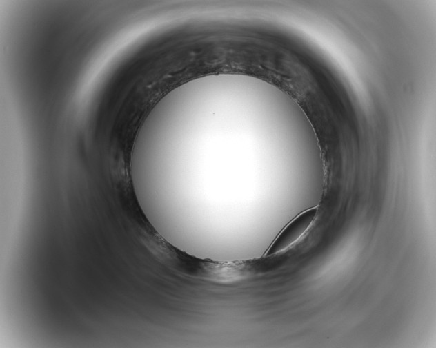 X0000098110191200804111102