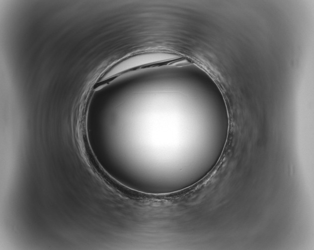 X0000098110193200804111102