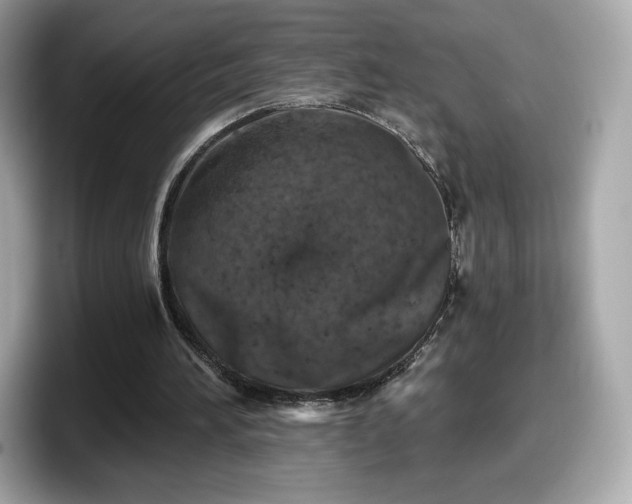 X0000098110196200804111102