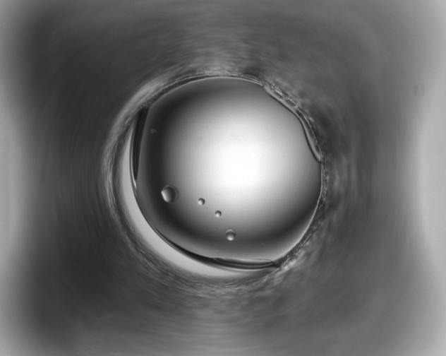 X0000098110197200804111102