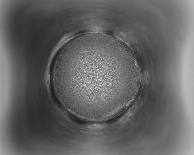 X0000098110198200804111102