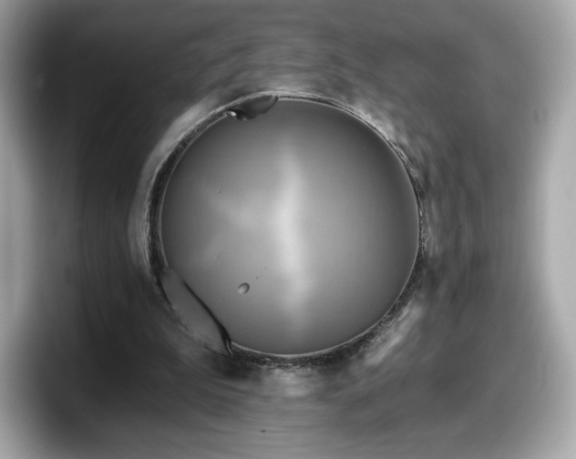 X0000098110199200804111102