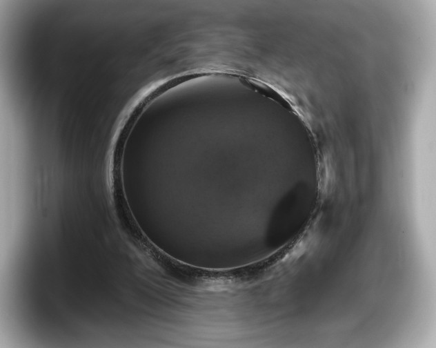 X0000098110200200804111102