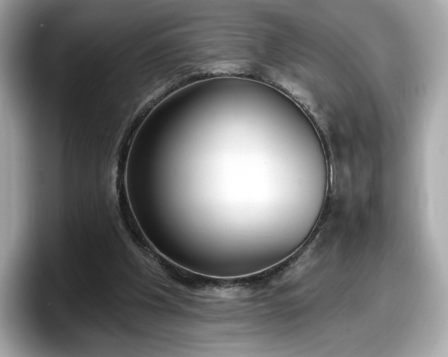X0000098110201200804111102