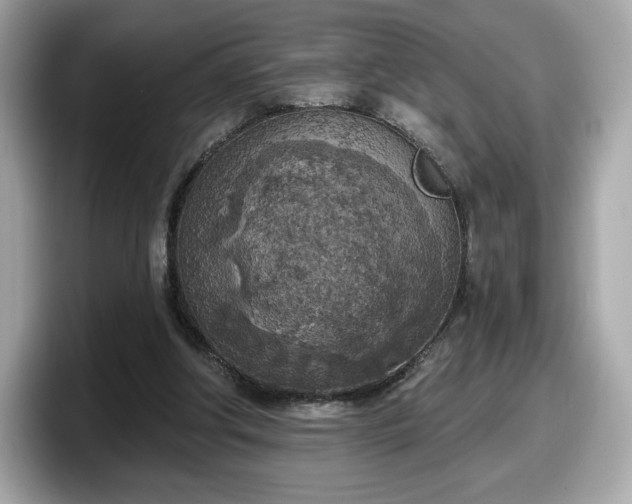 X0000098110202200804111102