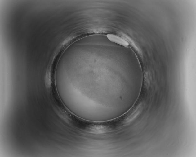 X0000098110203200804111102