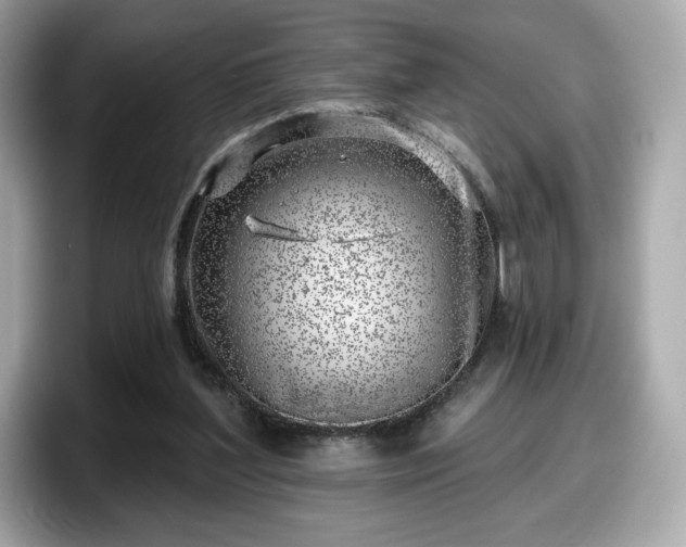X0000098110204200804111102