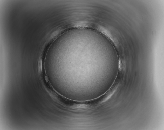 X0000098110205200804111102