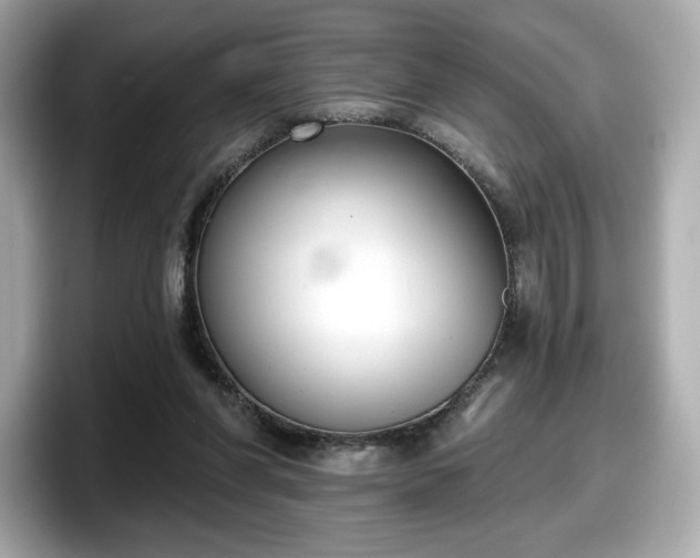 X0000098110206200804111102