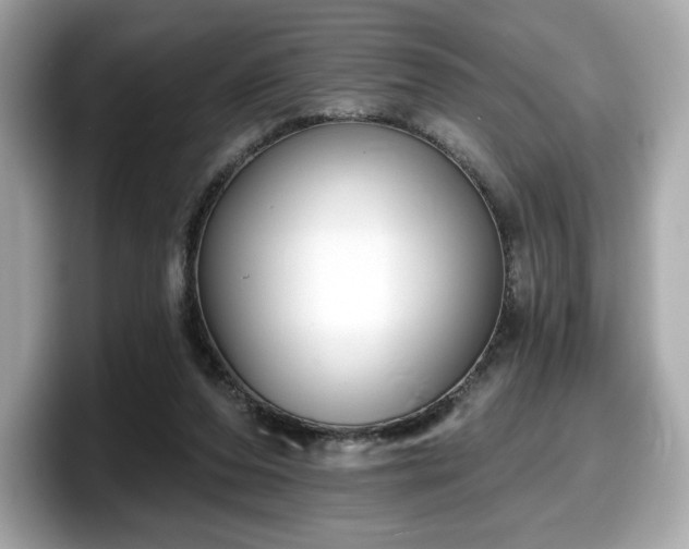 X0000098110208200804111102