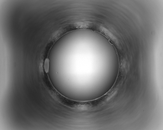 X0000098110209200804111102
