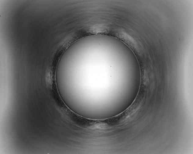 X0000098110210200804111102
