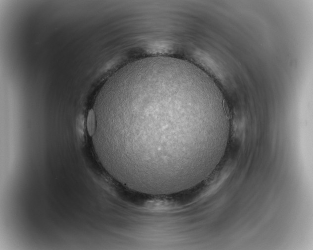 X0000098110211200804111102