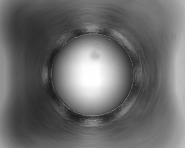 X0000098110213200804111102